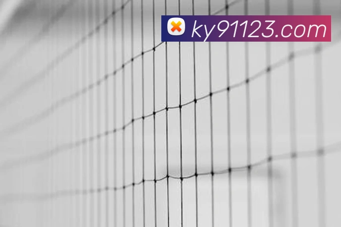 ky开云发展历程